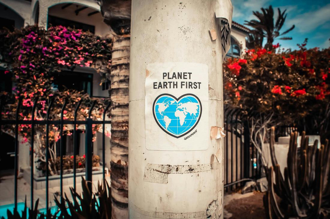 Pfosten mit Plakat "Planet Earth First" und einem Globus in herzform. Im Hintergrund ein garten mit Blumen und Kakteen.