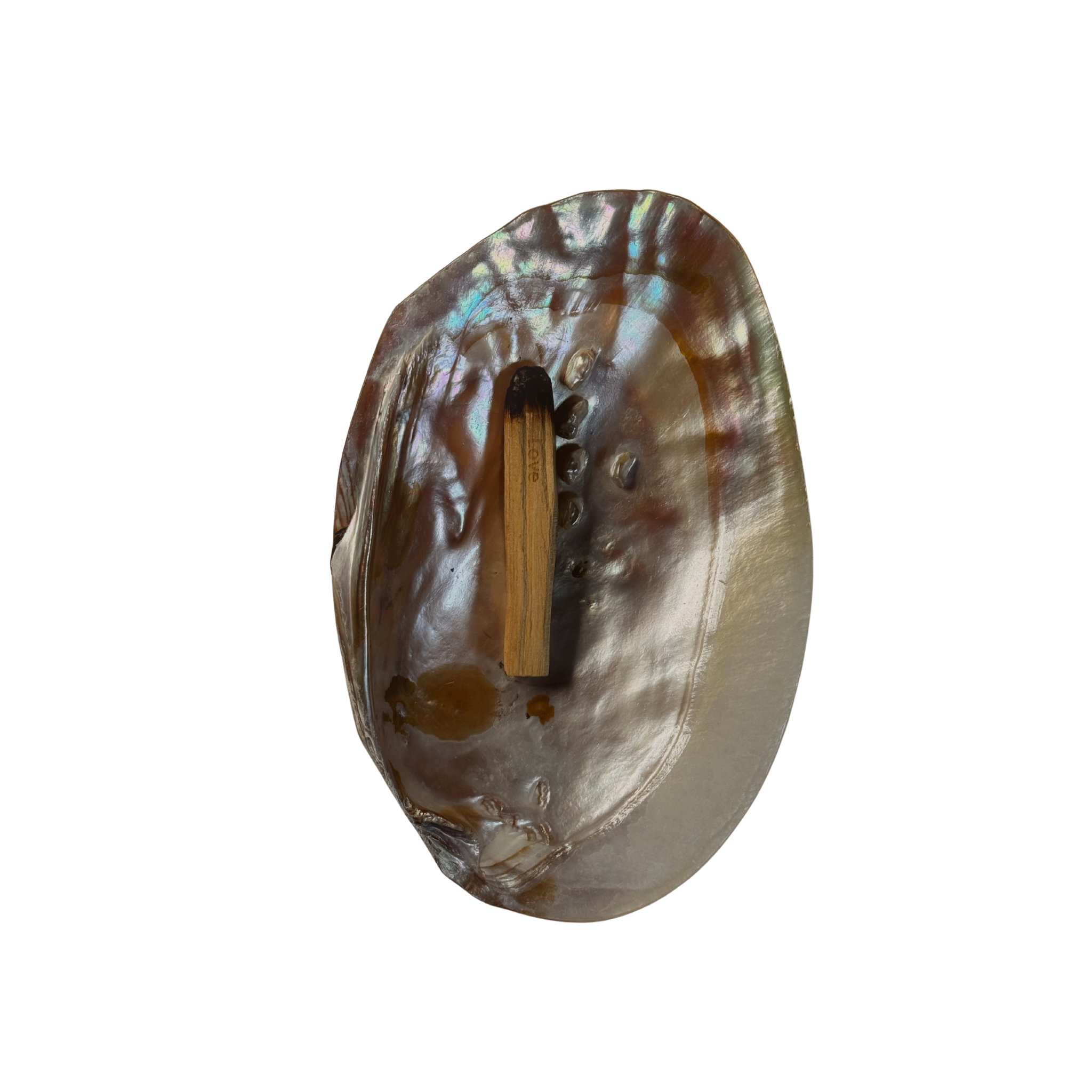 SEARENE – Muschelschale für Palo Santo & Schmuck