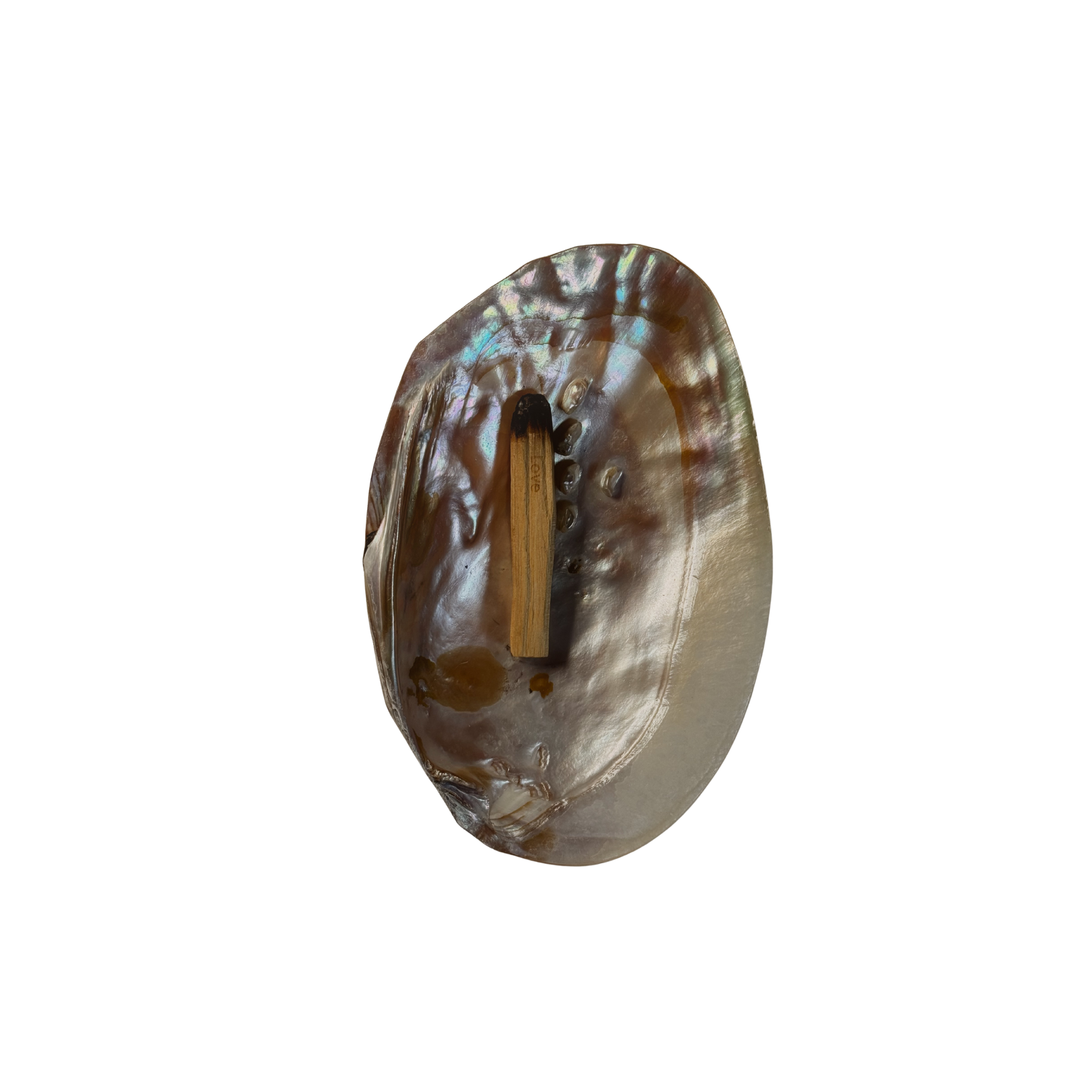 Palo Santo ZENWOOD mit Intention