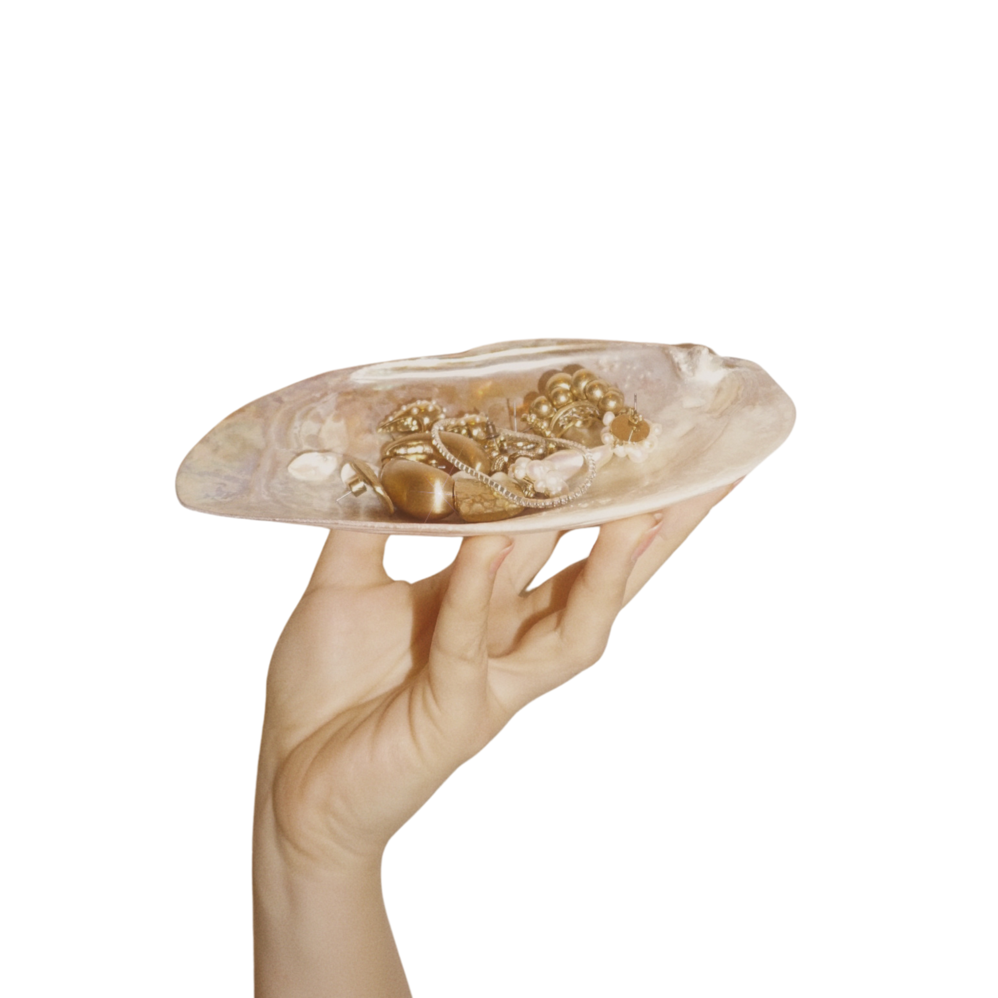 yardin zayel Searene Muschelschale als ruhiges, ästhetisches Interior-Element. Ästhetisches Moodbild mit einer tragenden Hand und Schmuck.