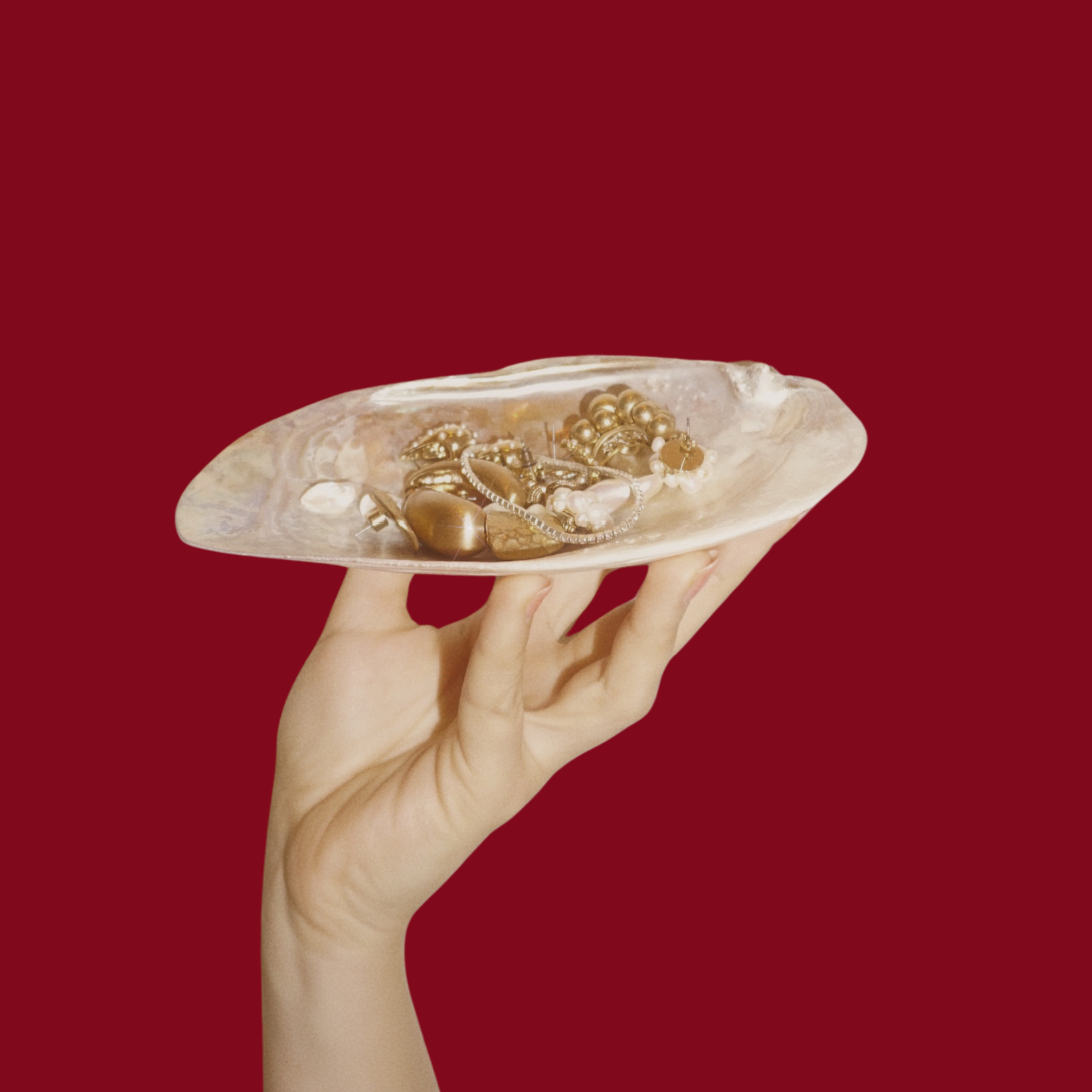 yardin zayel Searene Muschelschale als Schmuckunterlage tragend von einer Hand. Moodshot.